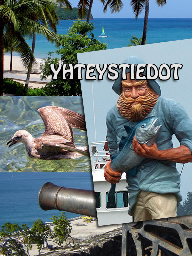 yhteystiedot
